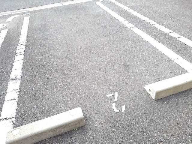 グレイス・アズーリ その他1