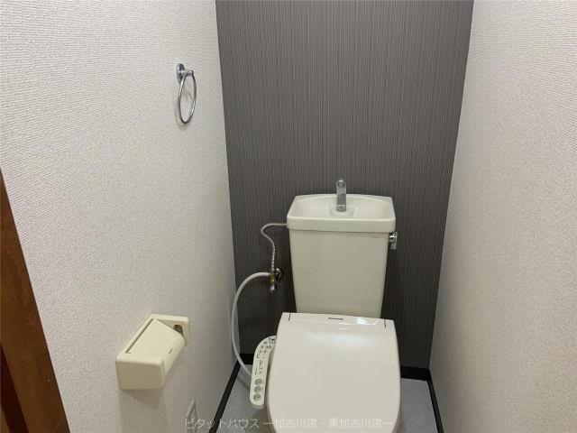 エーデル宝殿 その他1