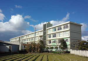 中田マンション 周辺画像3