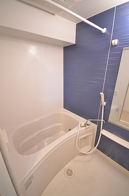 ラインハイム足立山Ｃ棟 風呂画像