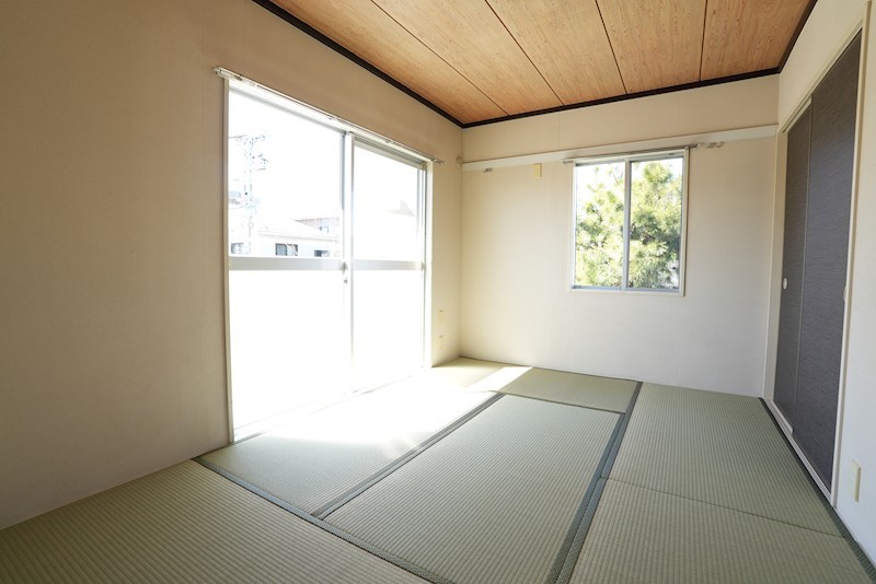 ハイネス その他