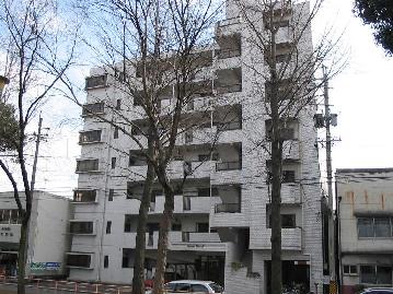 愛知県名古屋市中区正木２丁目 その他