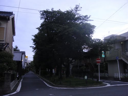 プロビデンス日々野 公園