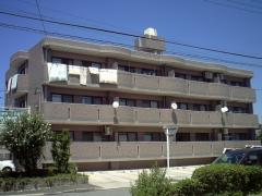 愛知県名古屋市中川区中島新町３丁目 外観