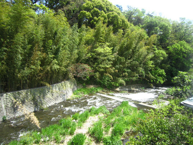 ピアセントラル その他外観1