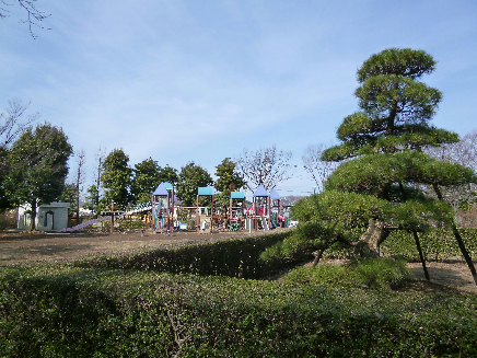 コモン・シード新百合 周辺画像7