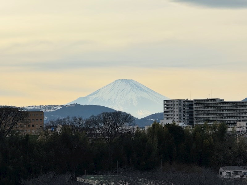 グランドエンブレム秦野 その他16