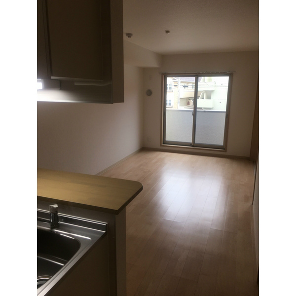 エクセレント　ティアラ その他3