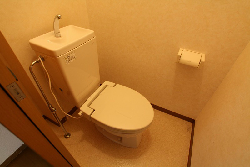 Ｃｈａｍｏｍｉｌｅ その他1