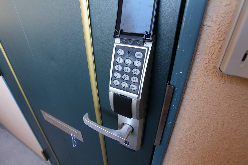 Ｃｈａｍｏｍｉｌｅ その他4