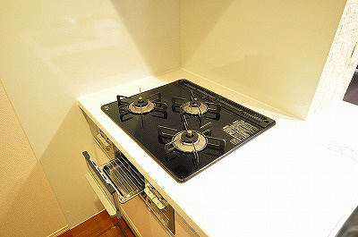 ボヌール沼 その他14