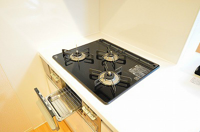 ボヌール沼 その他17