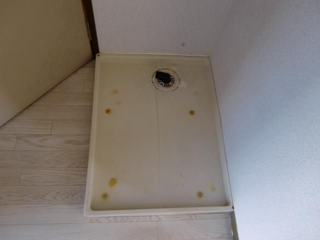 ルーメン その他4