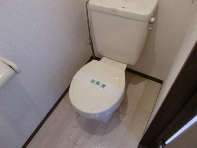 ルーメン その他5
