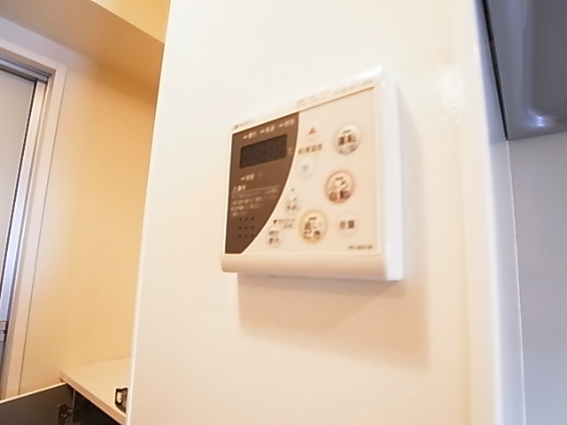 ルガーナ その他8