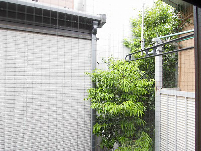 ジュネス香和Ａ棟 眺望