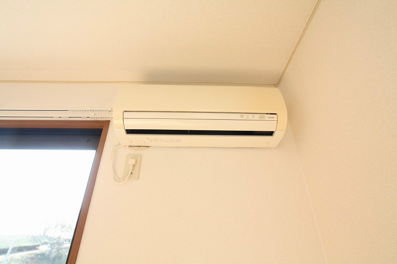 ドリアン その他4