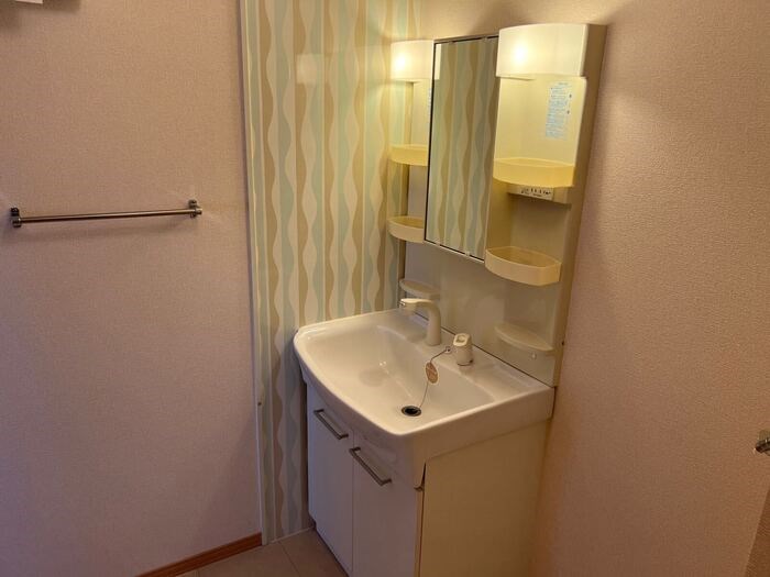 プロフォンド　Ａ その他1