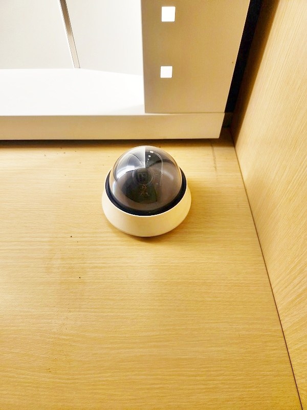 GRAVIS(グラヴィス) その他外観6