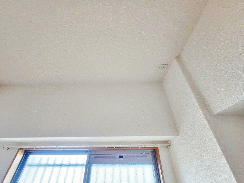 GRAVIS(グラヴィス) その他14