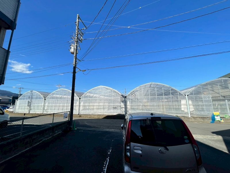 ドミニオン山崎 その他4