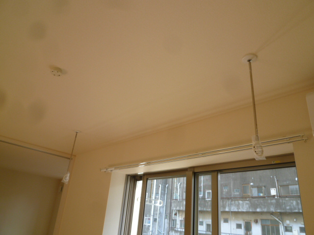 ウェルス本厚木west その他10