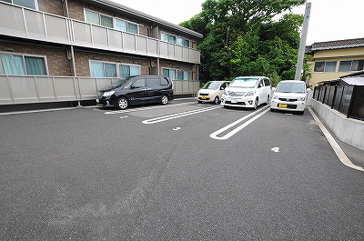 Spring Hill Top(スプリングヒルトップ)  その他23