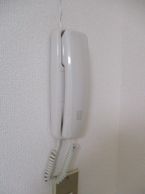 ヤングプラザ  その他2
