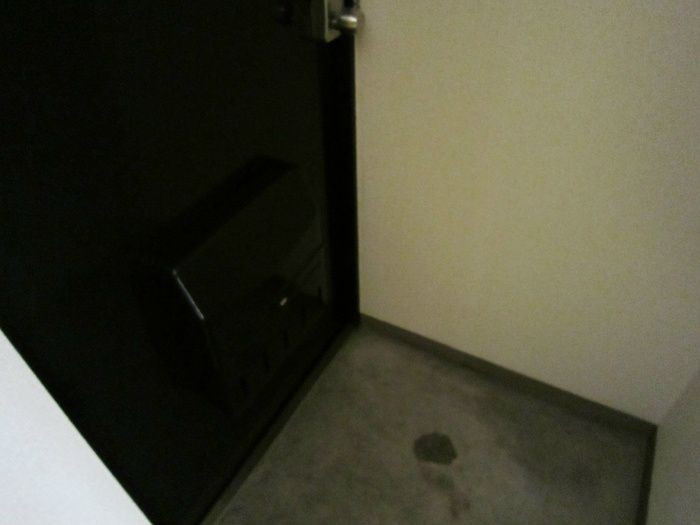 レジデンス610  玄関