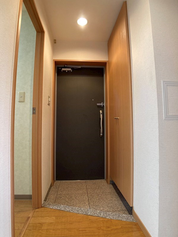 ビュー雷神Ⅱ その他19