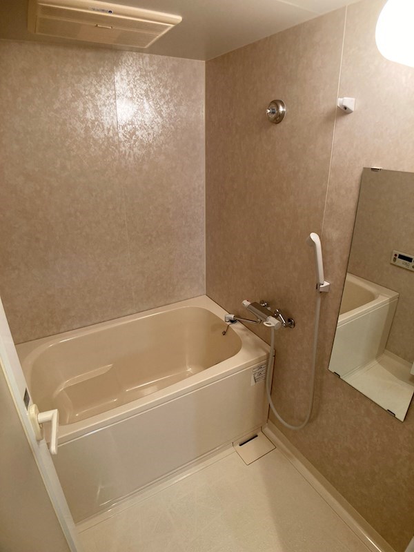 ビュー雷神Ⅱ 風呂画像