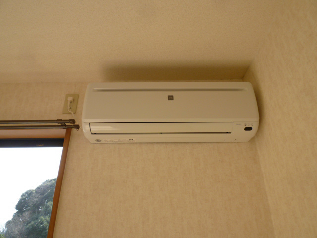 Selva（セルヴァ） その他3