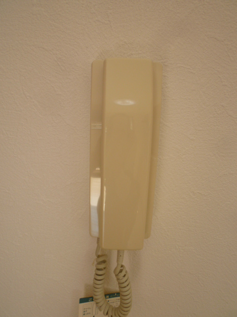 Selva（セルヴァ） その他5