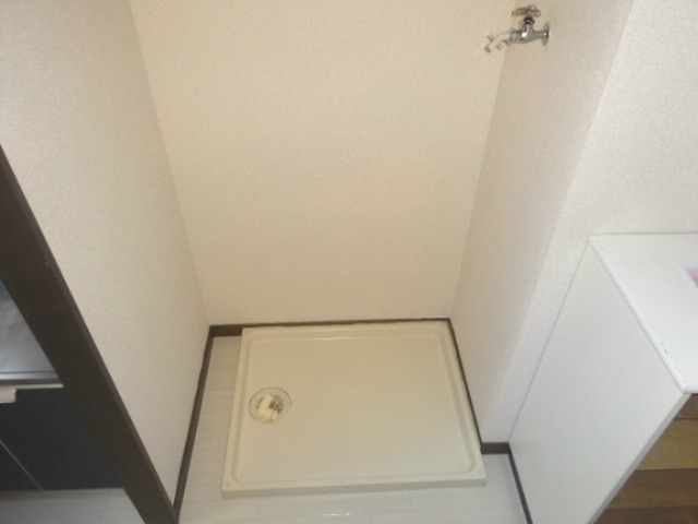 シェソワ常入 その他
