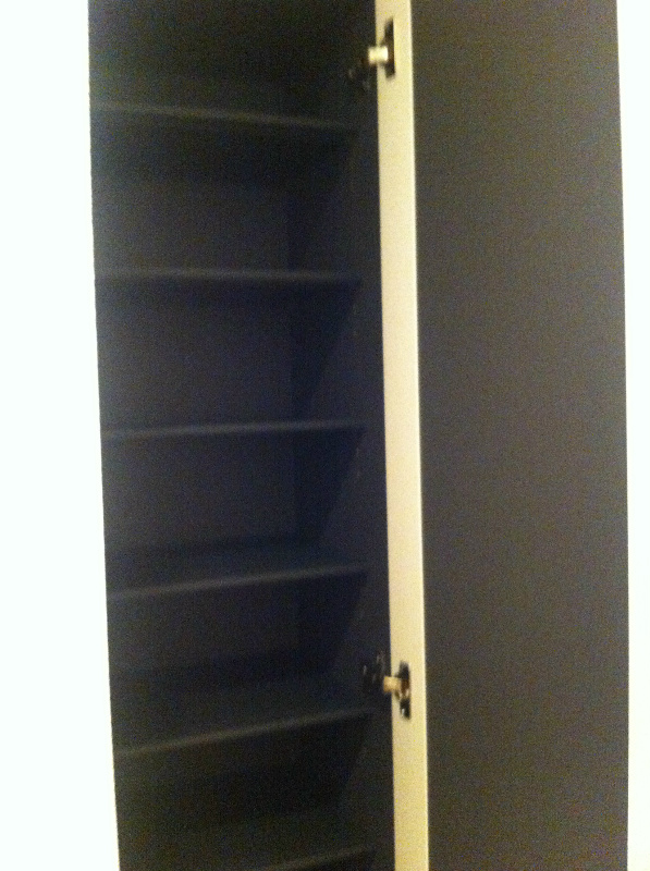 ｱｼﾞﾙ湘南 その他2