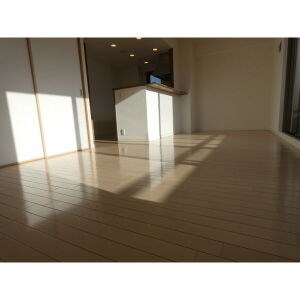 レジディア徳川 リビング