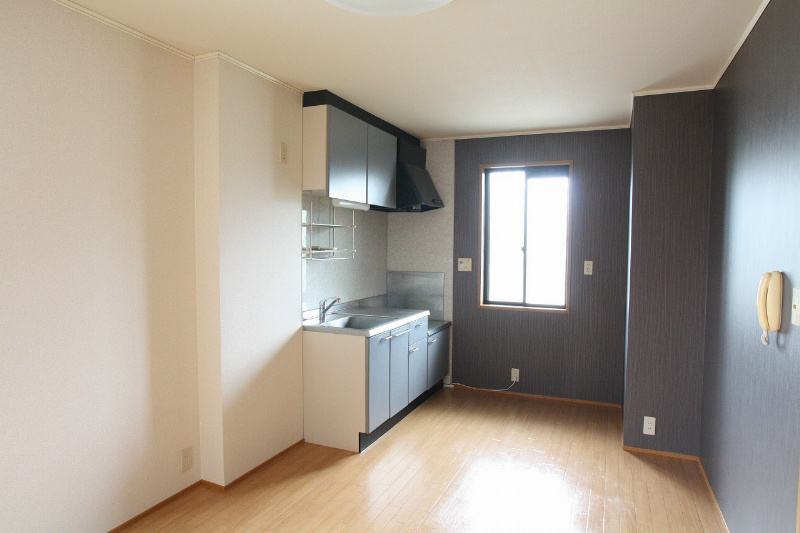 ミレニアムB キッチン