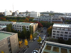 愛知県名古屋市千種区幸川町２丁目 眺望