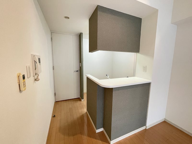 セイワパレス大手前西 その他10