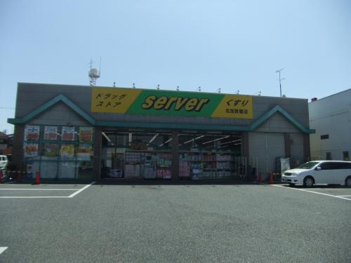 ドラッグストアサーバ 住之江南加賀屋店 グランソレイユ 周辺画像3
