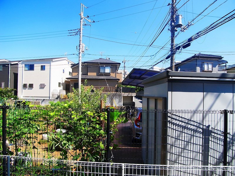 ＣＥＲＥＺＡ　セレーサ その他5