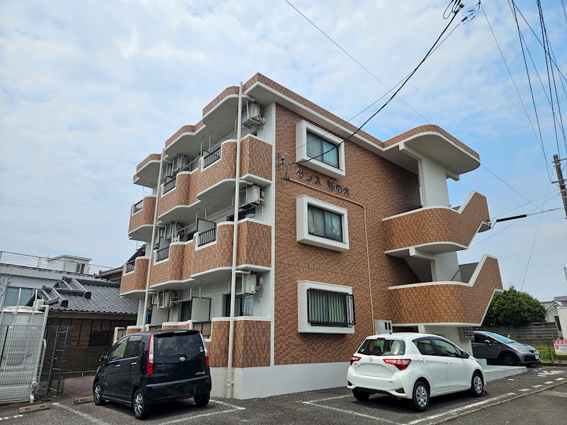 サンズ杉の木 外観