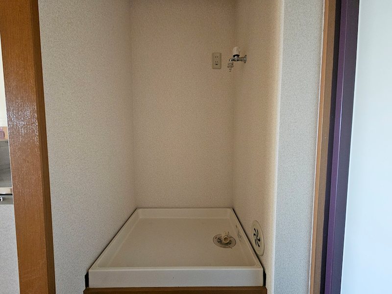 サンズ杉の木 その他