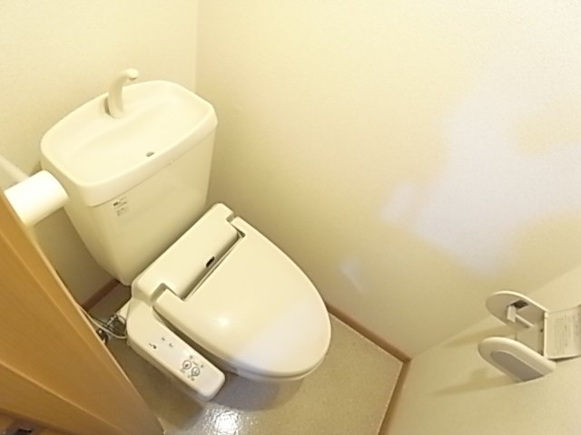 プリムローズ その他1