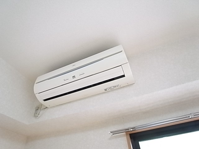 プリムローズ その他5