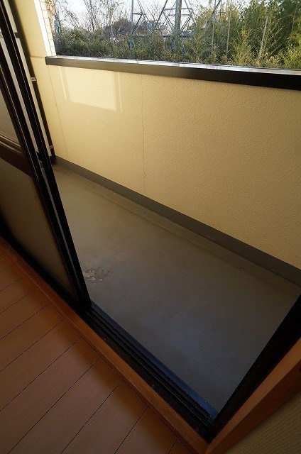 プリムローズ その他6