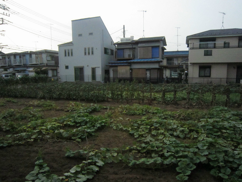 ラ・メゾン・クラウン その他6