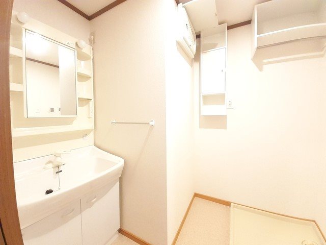 コモドジラソーレ その他1