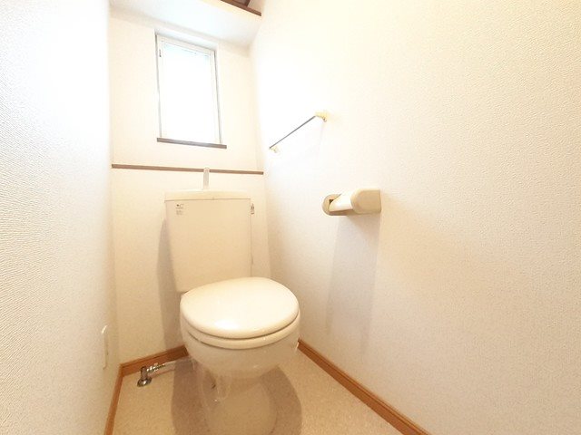 コモドジラソーレ その他2