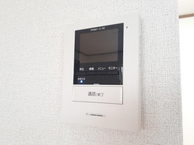 コモドジラソーレ その他5